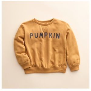 NEW 🦃 Little Co. by LC Lauren Conrad Pumpkin Sweatshirt Size 18 Months